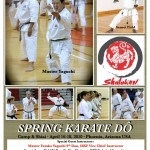 2010 Spring Karate Do