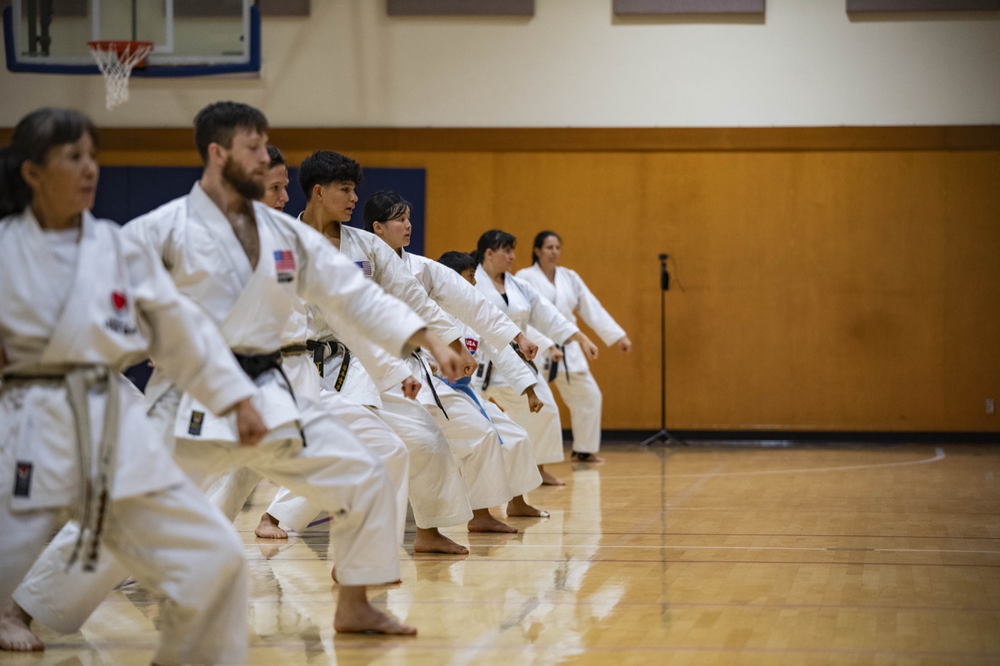 Sensei Hirayama teaching a seated group of students