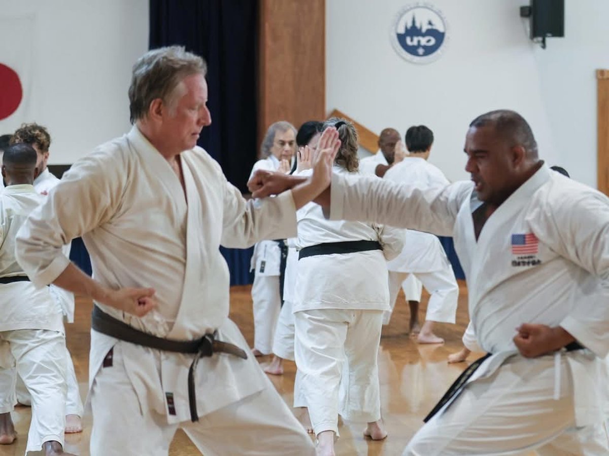 Partner training in the dojo